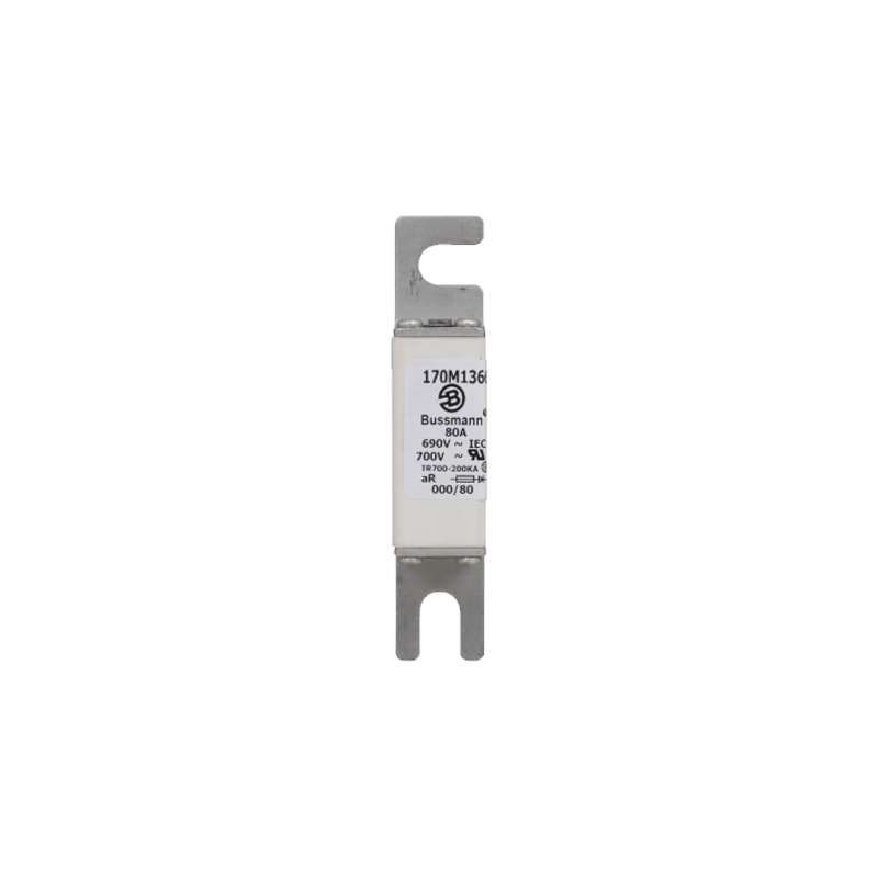 Fuses FUSE 80A 690V VIS IN