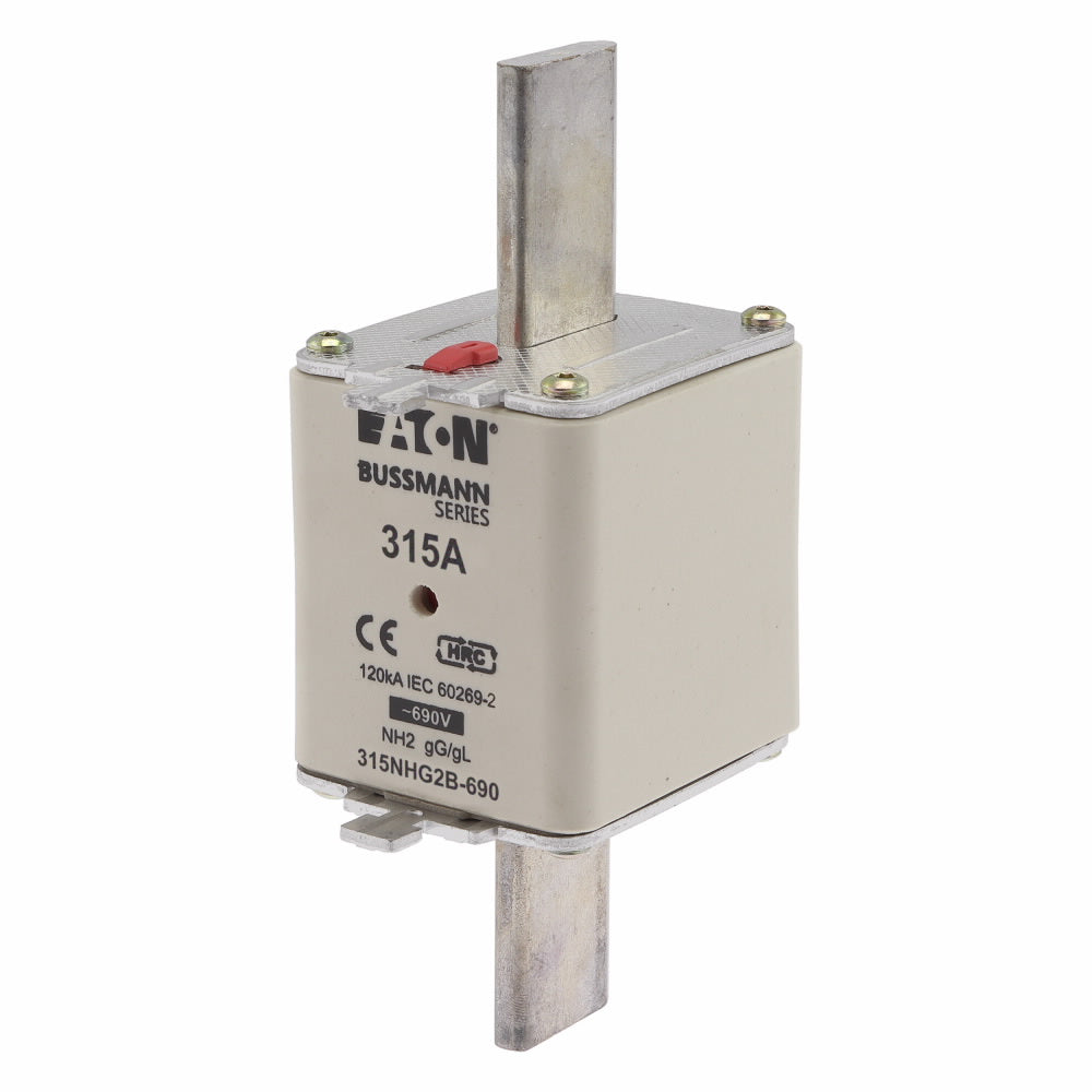 NH FUSE 315A 690V gG SIZE 2
